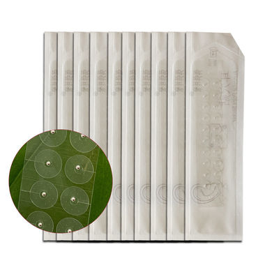 Massage Function Chinese Medicine Apparatus Ear Seeds Acupuncture Kit for Weight Loss Seed Bead Earing