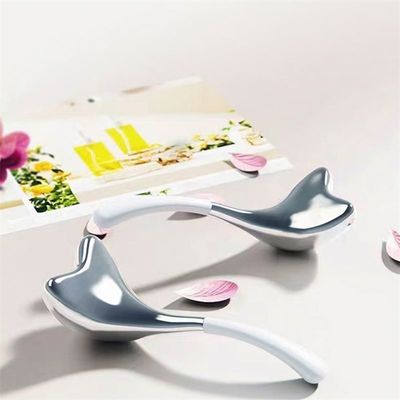 ISO9001 Certified Stainless Steel and PP Material Ice Globe Facial Massage Cryo Roller for Cooling