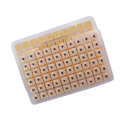 Acupuncture Needles Function massage 600 Pieces/Box Disposable Ear Press Seeds Multi-condition Ear Seed Acupressure Kit
