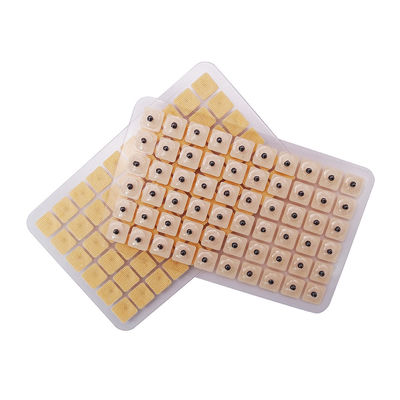 Acupuncture Needles Function massage 600 Pieces/Box Disposable Ear Press Seeds Multi-condition Ear Seed Acupressure Kit