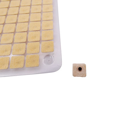 Acupuncture Needles Function massage 600 Pieces/Box Disposable Ear Press Seeds Multi-condition Ear Seed Acupressure Kit