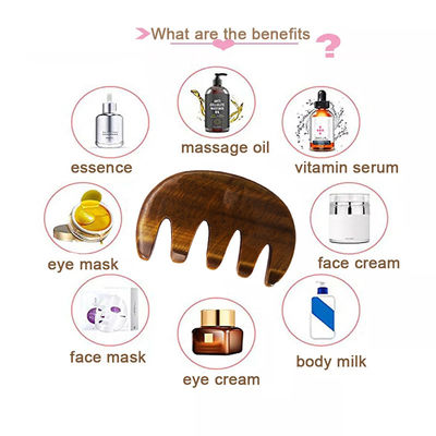 Customized Logo Availabled Gua Sha Comb Massage Tool for Enhancing Circulation on Scalp Face