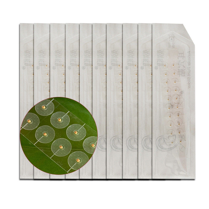 Massage Function Chinese Medicine Apparatus Ear Seeds Acupuncture Kit for Weight Loss Seed Bead Earing