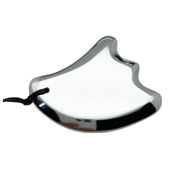 Terahertz Gua Sha Massage Scraping Tool for Body Massage Equipment and Facial Beauty Mini Massager